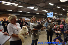 Antwerpen 2019DSC 0322