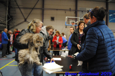 turnhout 2019-0053