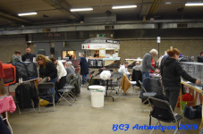Antwerpen 2019DSC 0167