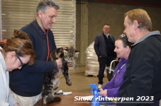 Schow Antwerpen 2023 035