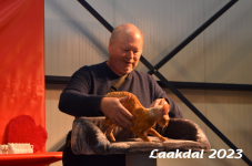Laakdal 2023 231