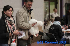 turnhout 2013 img 9902