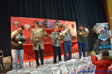 Katttenshow Arendonk 2020 DSC 0302