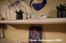 Antwerp 2022365