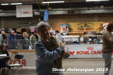 Schow Antwerpen 2023 235