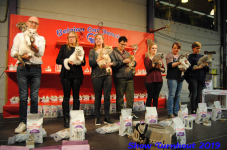 turnhout 2019-0204
