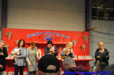 turnhout 2019-0115