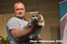 Antwerp 2022197