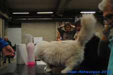antwerp 2018 0060