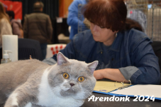Arendonk 2024 314