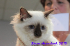 arendonk 2012 274