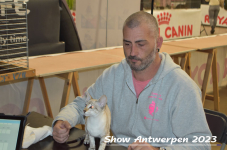 Schow Antwerpen 2023 221