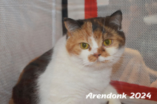 Arendonk 2024 170