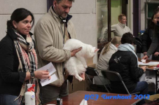 turnhout 2013 img 9901