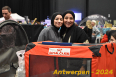 Antwerpen 164