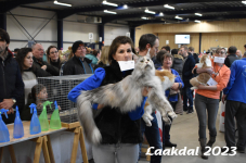 Laakdal 2023 342