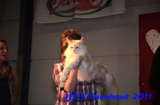 bcf antw 2010 280