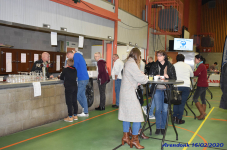 Katttenshow Arendonk 2020 DSC 0216