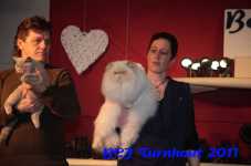 bcf antw 2010 158