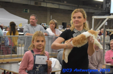 Antwerpen 2019DSC 0411