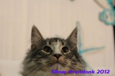 arendonk 2012 339