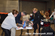 Schow Antwerpen 2023 047