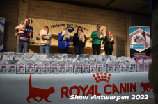 Antwerp 2022281
