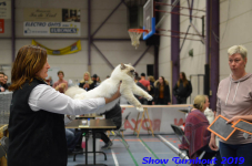 turnhout 2019-0442