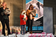 Antwerp 2022301