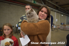 Antwerp 2022203