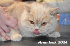 Arendonk 2024 113