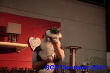 bcf antw 2010 161