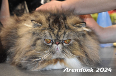 Arendonk 2024 043