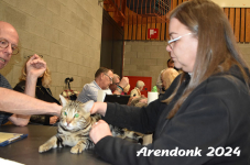 Arendonk 2024 297