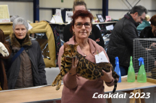 Laakdal 2023 426