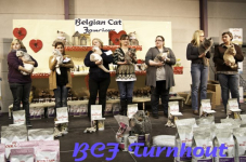  bcf ant 201133