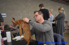 Antwerpen 2019DSC 0188