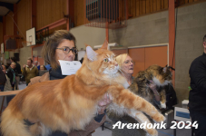 Arendonk 2024 453