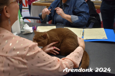 Arendonk 2024 205