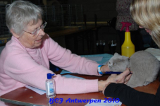 bcf antw 2010 081