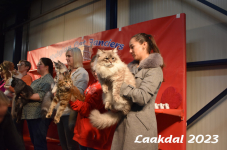 Laakdal 2023 383