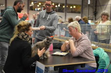 turnhout 2019-0349
