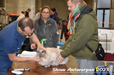 Schow Antwerpen 2023 113