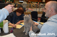 Arendonk 2024 256