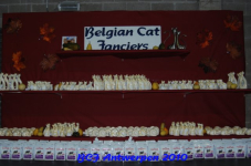 bcf antw 2010 062
