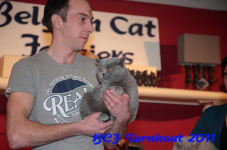 bcf antw 2010 240