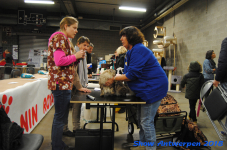 antwerp 2018 0069
