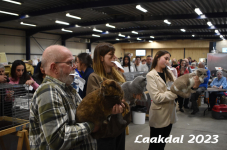 Laakdal 2023 401