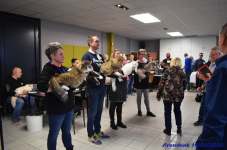 Katttenshow Arendonk 2020 DSC 0498