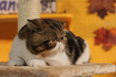 img 2557